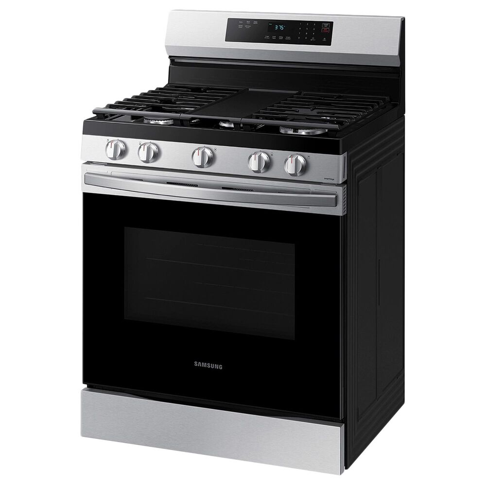 Samsung 6 Cu. Ft. Freestanding Gas Range with Self Clean in Stainless Steel, , large