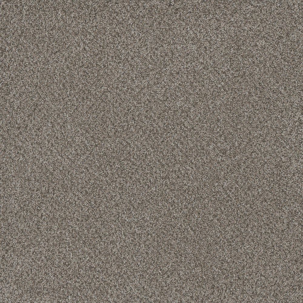 Dream Weaver Titan II Carpet in Oakland, , large