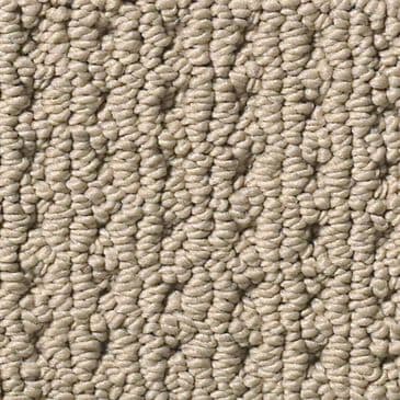 Anderson Tuftex San Lucas Carpet in Latte, , large
