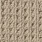 Anderson Tuftex San Lucas Carpet in Latte, , large
