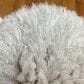 Central Oriental Venice Shag 7"10" x 9"10" Light Beige Area Rug, , large