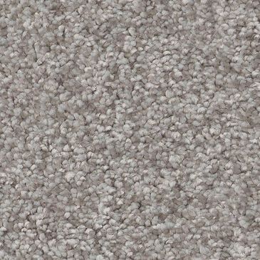 Shaw You Got This II Carpet in Rock Crystal, , large