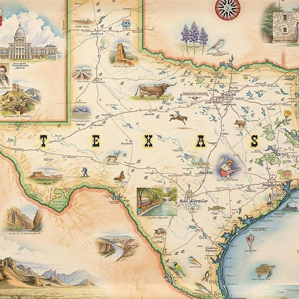 Xplorer Maps Texas Natural Stone Coasters in Multicolor (Set of 4), , large