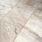 Shaw Paragon Tile Plus Jordan 12" x 24" Luxury Vinyl Tile, , large