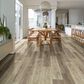 Shaw Tenacious HD Plus Accent Sable 7" x 48" Luxury Vinyl Plank, , large