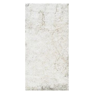 Shaw San Francisco Presido 4" x 8" Porcelain Tile, , large