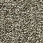 Shaw Just A Hint II Carpet in Dreamy Taupe, , large