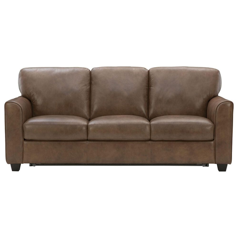 Pennycross Haven Euro Mechanism Queen Sleeper Sofa in Chestnut, , large