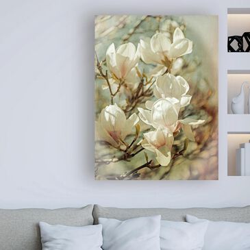 Timberlake Brooke T. Ryan "Vintage Inspired Magnolias" Small 19 x 14 Canvas Art, , large
