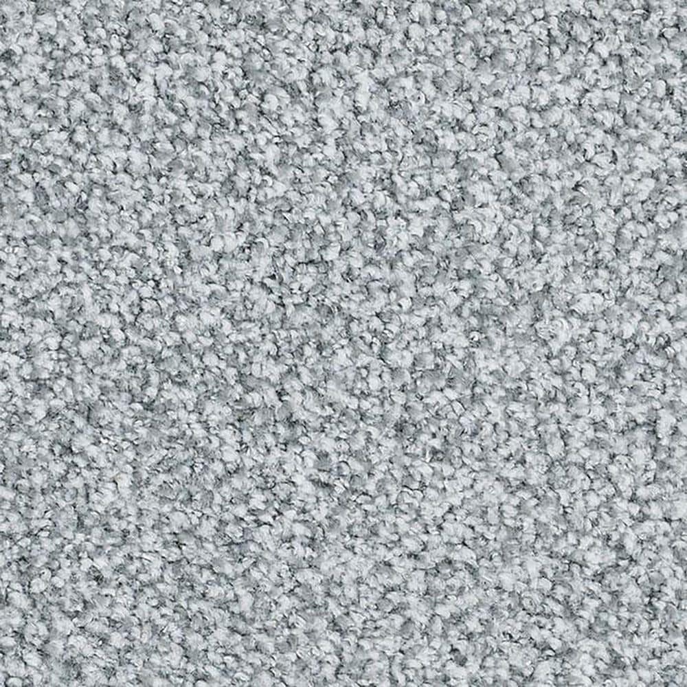 Masland Santo Domingo Carpet in Permanent, , large
