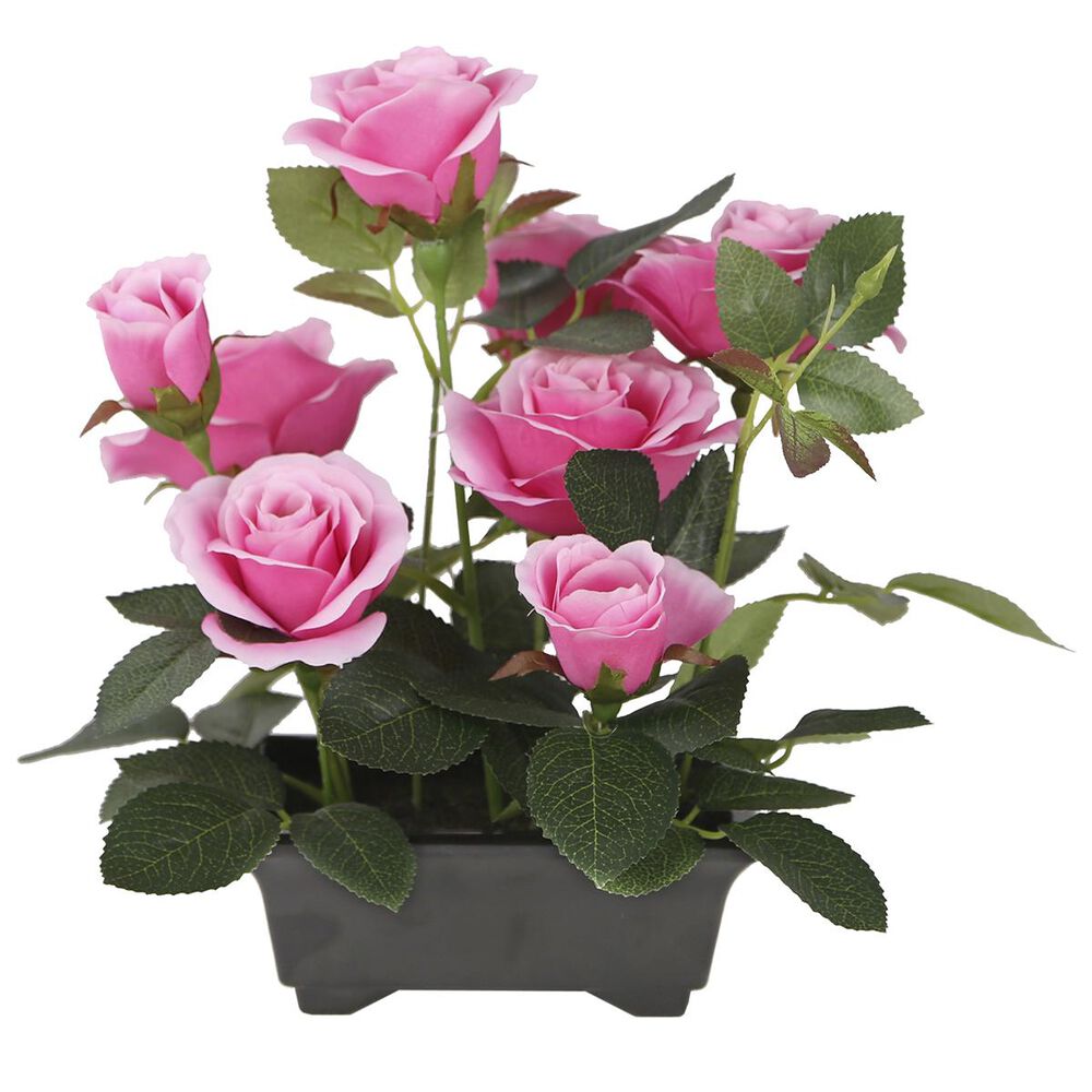 National Tree 10" Pink Roses in Pot, , large