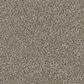 Dream Weaver Jackson Hole I Carpet in Gravel, , large