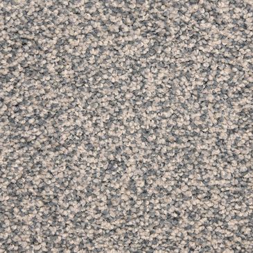 Dixie Home Debut Carpet in Mood, , large