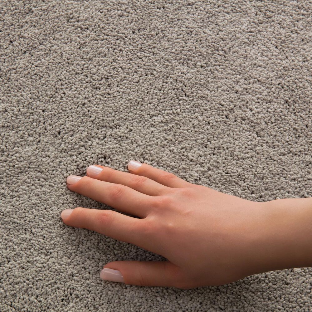 Philadelphia Champagne Taste I Carpet in Chic Greige, , large