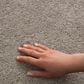 Philadelphia Champagne Taste I Carpet in Chic Greige, , large