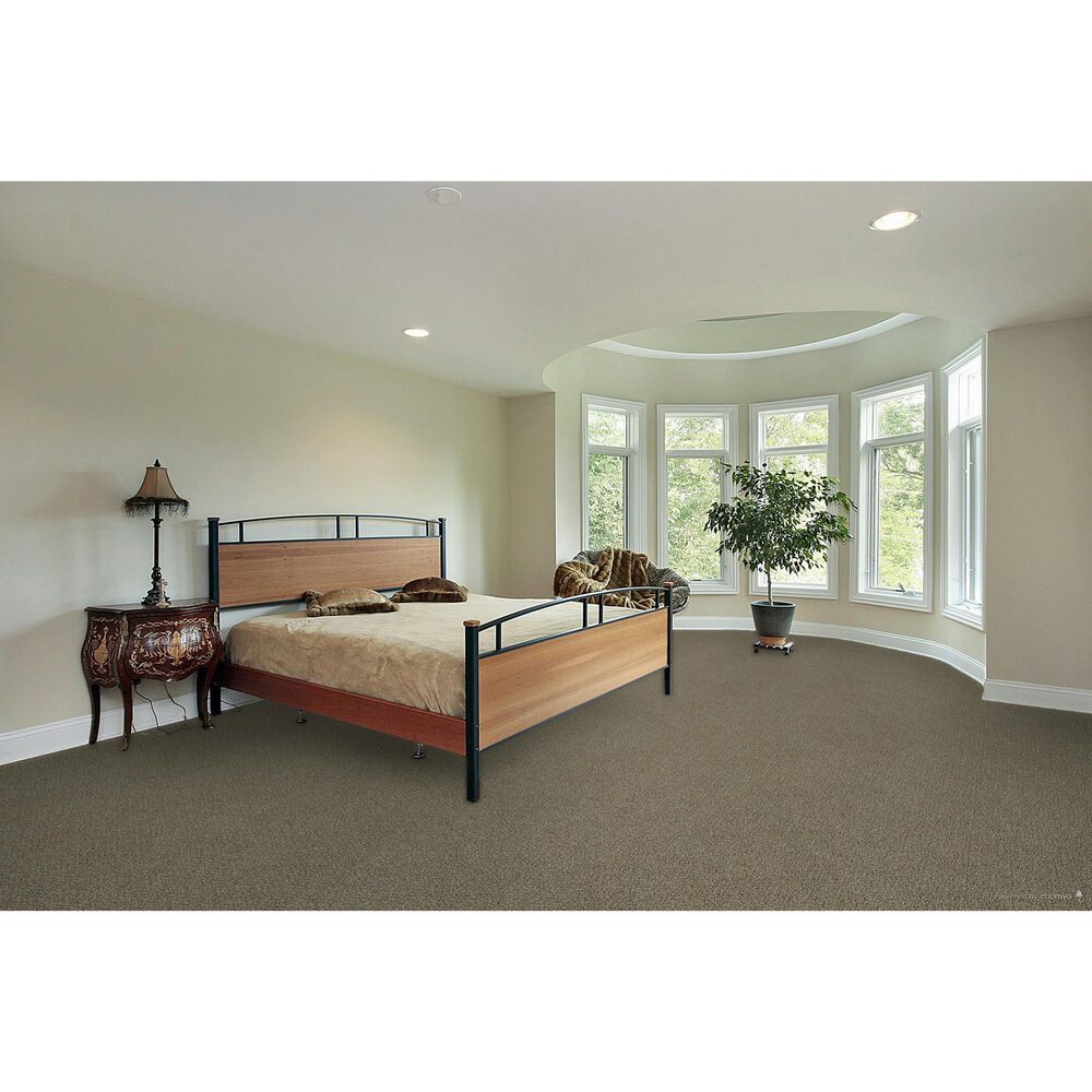 Dream Weaver Clearwater II Carpet in Toasted Oat, , large