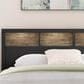 Ashley Broachmyn King LED Bookcase Bed in Black and Gray, , large