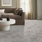 Anderson Tuftex Discover Carpet in Grey Fox, , large