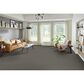 Phenix Luna Carpet in Terrazzo, , large