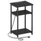 HOMLUX 22.7" 3-Tier End Table in Americano and Black, , large