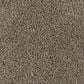 Mohawk Olympus III Carpet in Coffee Bean, , large