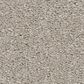 Philadelphia Champagne Taste II Carpet in Rock Crystal, , large