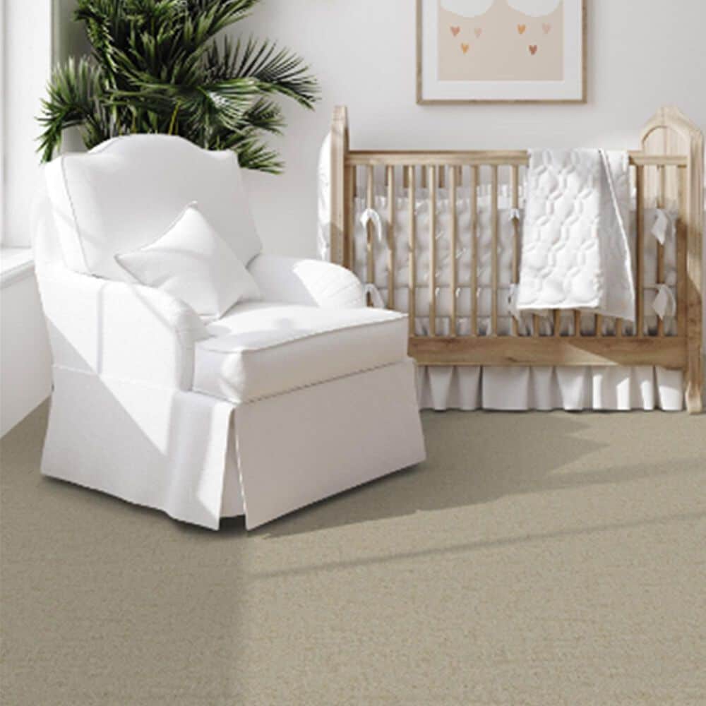 Dixie Home Genuine Carpet in Worthy, , large