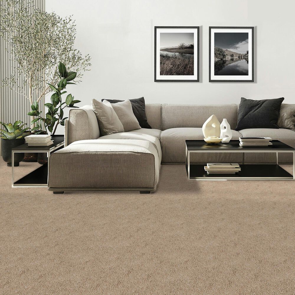 Mohawk Diffurent Choice II Carpet in Harmony, , large