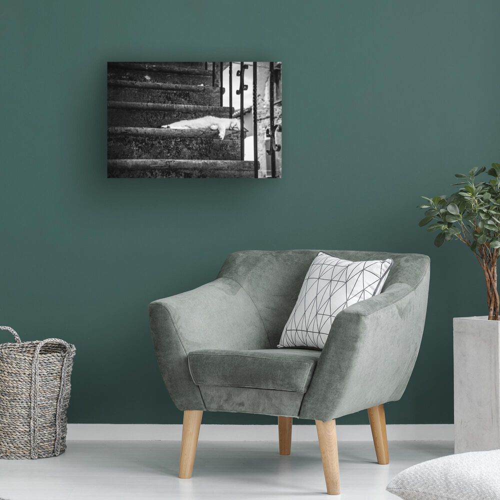 Timberlake Piera Polo &#39;Slow Life&#39; 22&quot; x 32&quot; Canvas Art in Black/Grey/White, , large