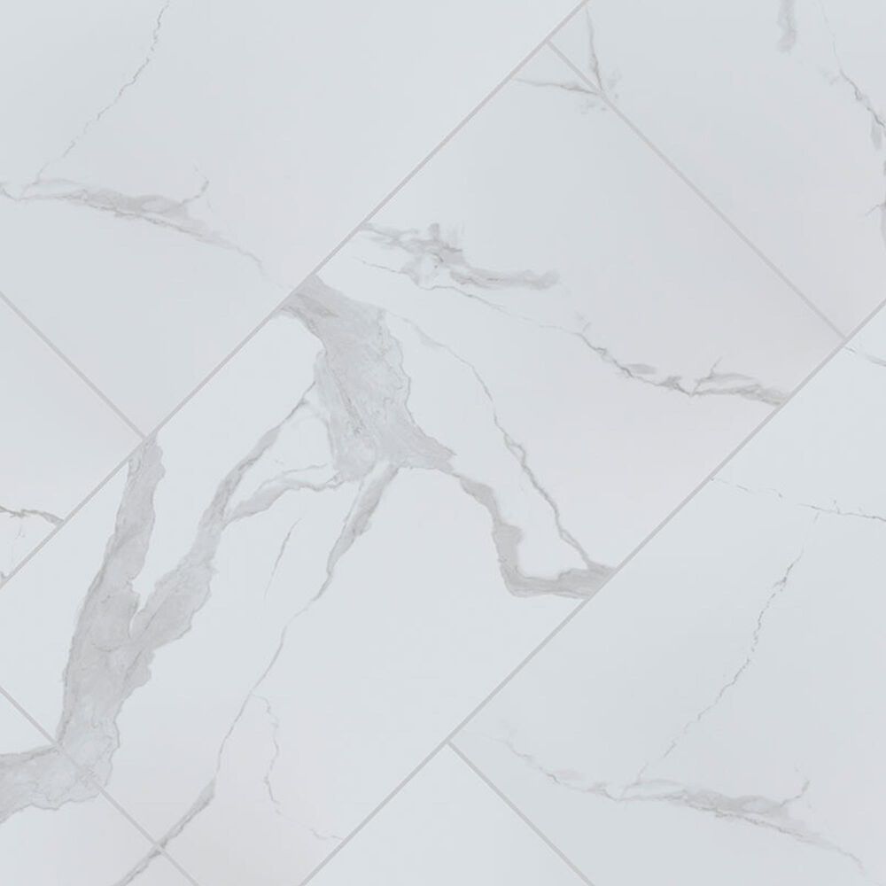 MS International Eden Statuary 24" x 48" Matte Porcelain Tile NFM