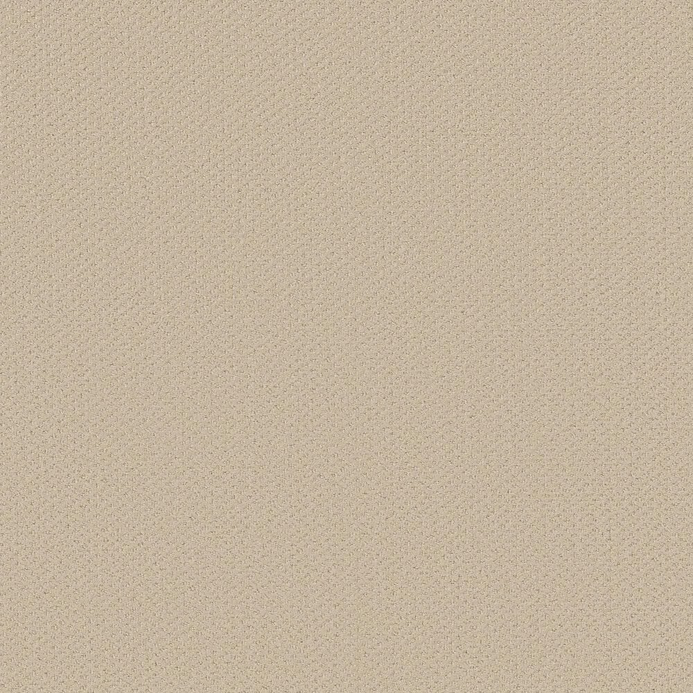 Shaw Austin Park Carpet in Better Beige, , large