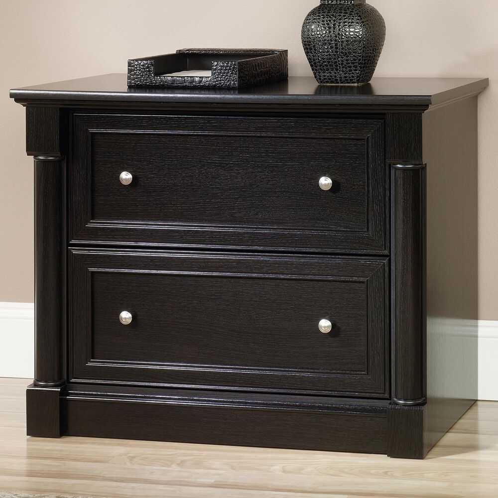 Sauder Palladia 2-Drawer Lateral File Cabinet in Wind Oak, , large