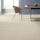Anderson Tuftex Contour Carpet in Almond Silk, , large