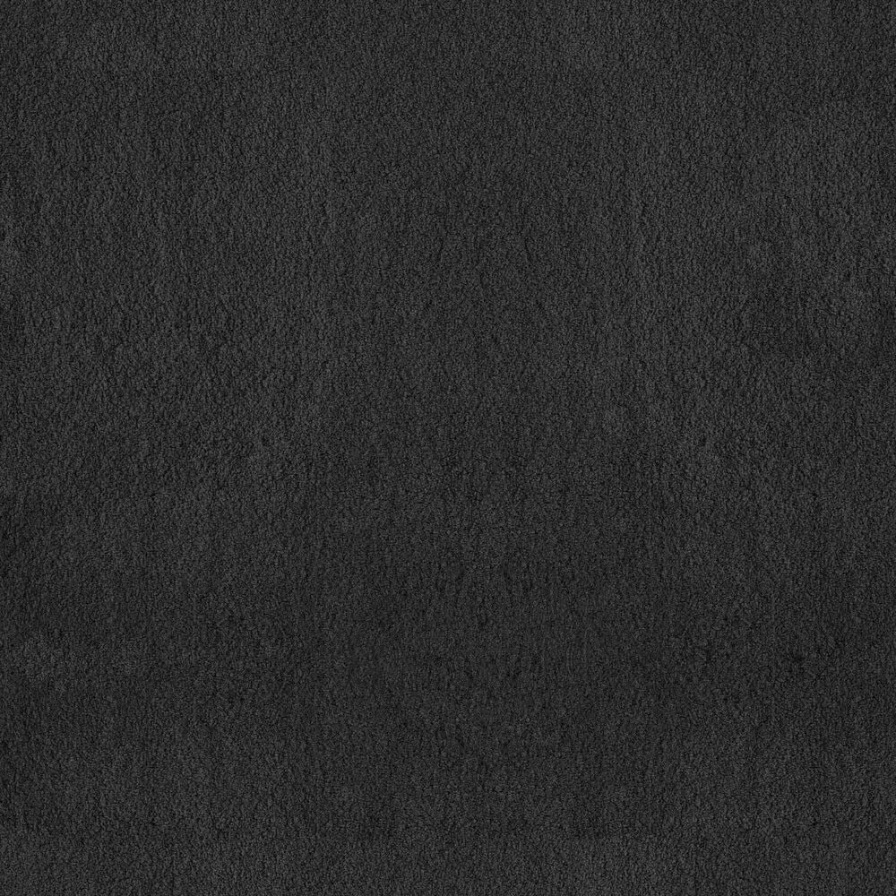Anderson Tuftex Luxe Feel I Carpet in Blackout, , large