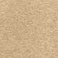 Dixie Home Natural Beauty Carpet in Burlwood, , large