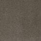Dream Weaver Serene I Carpet in Mulberry, , large