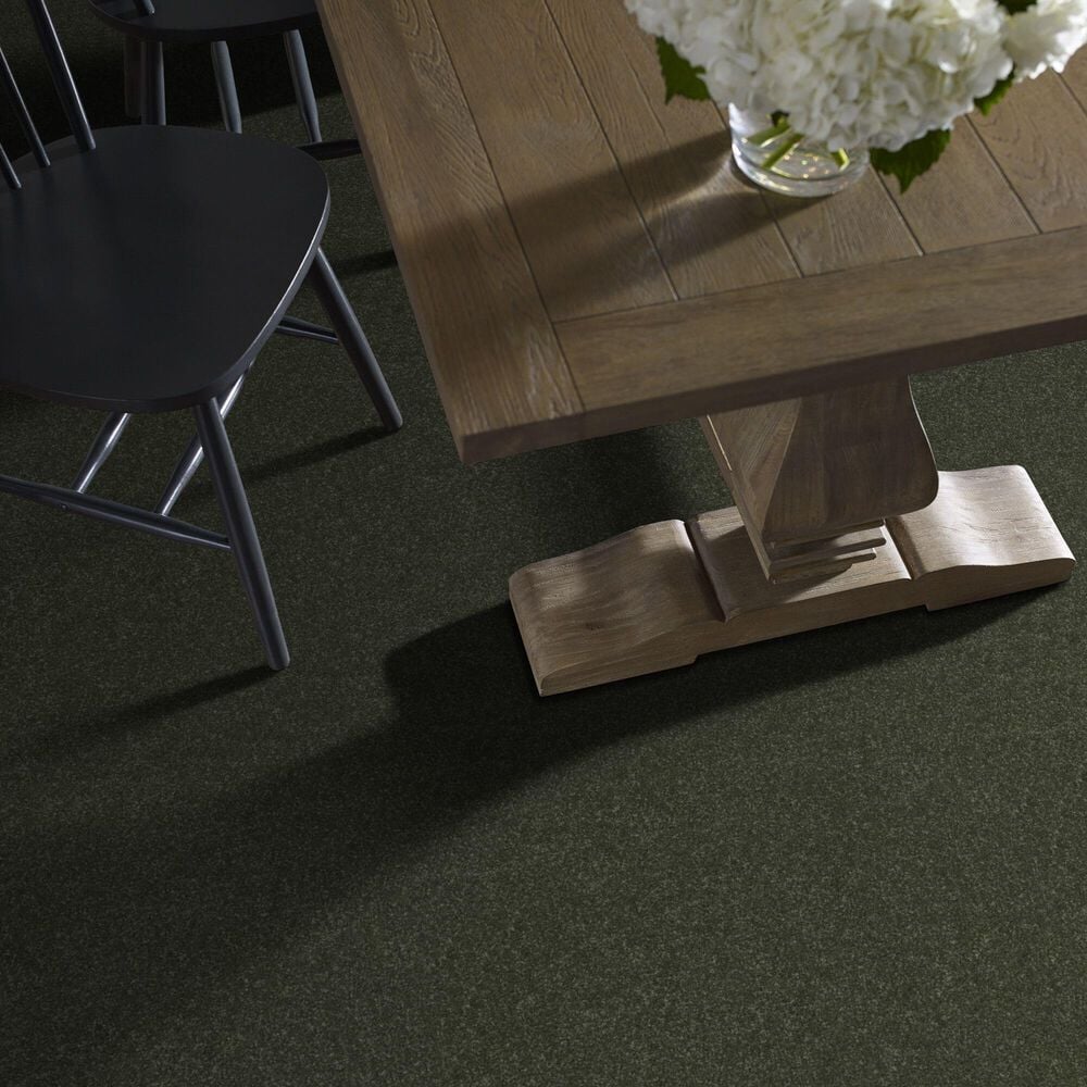Shaw Hard At Play Iii Carpet in Rerooted Nature, , large