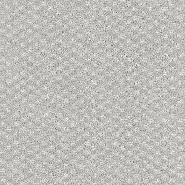 Dixie Home Soft Touch Carpet in Cozy, , large