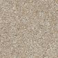 Shaw Good Move II Carpet in Practical Beige, , large