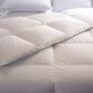 Allied Home 100% Organic Cotton King Comforter in White, , large