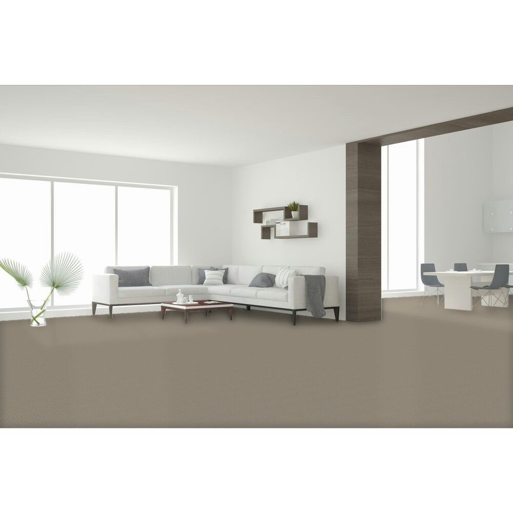 Dream Weaver Amalfi Carpet in Venice, , large