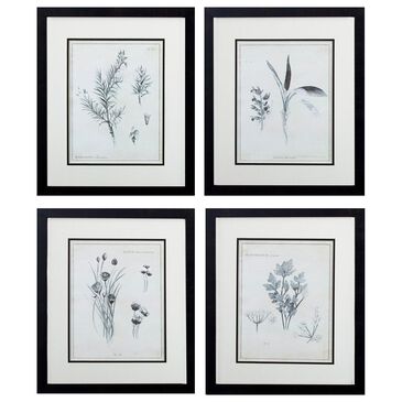 Propac "Latin Botanicals" Wall Art in Black & White (Set of 4), , large