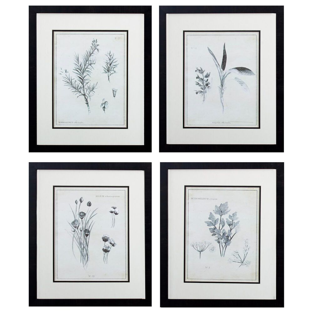 Propac "Latin Botanicals" Wall Art in Black & White (Set of 4), , large
