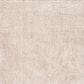 Safavieh August Shag AUG200D 2" x 11" Beige Runner, , large