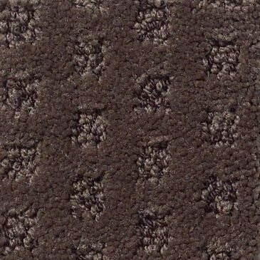 Anderson Tuftex Narrow Creek Carpet in Bison, , large
