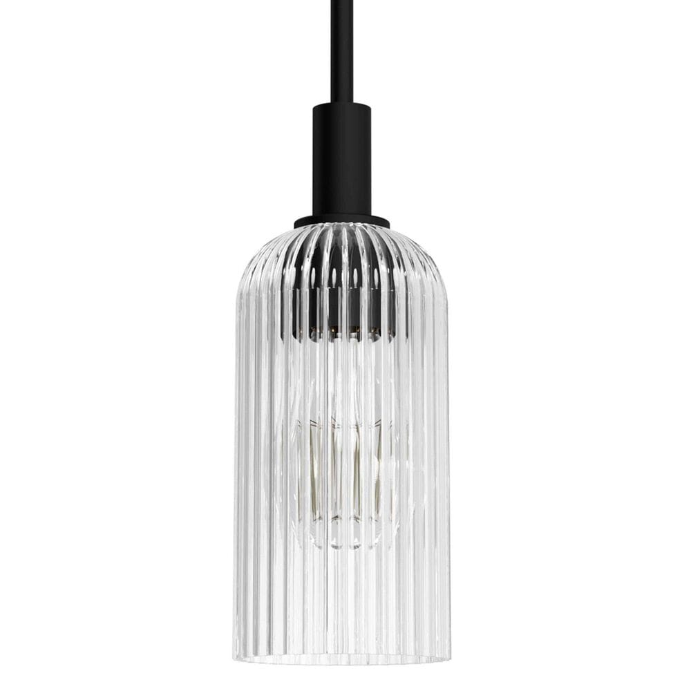 Hunter Beverly Glen Jasmine Roth 1-Light Mini Pendant in Matte Black, , large