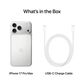 Apple iPhone 17 Pro Max 1TB - Silver (Pre-Order), , large