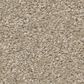 Shaw Way To Go II Carpet in Desert Khaki, , large