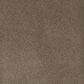 Dream Weaver Serene I Carpet in Shellbark, , large