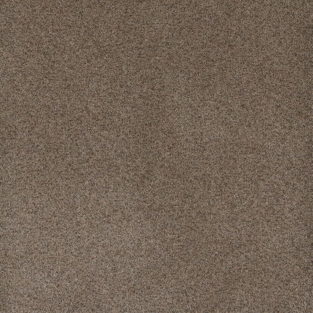 Dream Weaver Serene I Carpet in Shellbark, , large